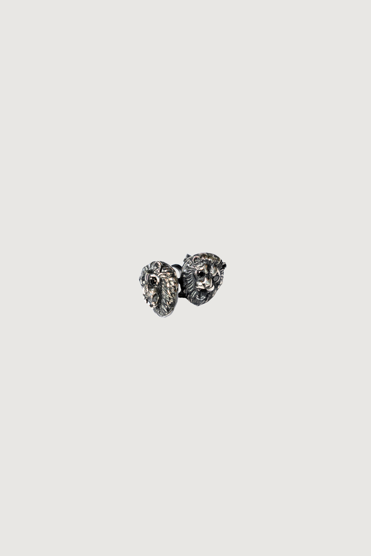 Aretes León